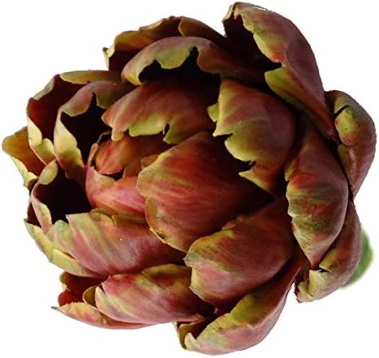 Exotic Splendor: Beautiful 5.5&#x22; Red/Purple Artichoke, 5.5&#x22; Diameter (6-Pack) for Elegant Tablescapes and Artistic Floral Creations